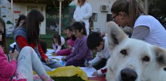 Πρωτοποριακή δράση από το Δήμο Αμαρουσίου στα σχολεία της πόλης για την προαγωγή της φιλοζωίας στα παιδιά