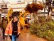 Ένα χρόνο μετά τις φονικές πλημμύρες στην Μάνδρα το Λεκανοπέδιο δε διαθέτει σχέδιο αντιπλημμυρικής θωράκισης