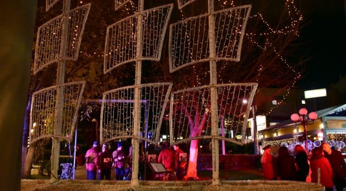 Άναψε το Χριστουγεννιάτικο Καράβι της Λυκόβρυσης