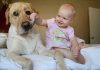 Παιδί και κατοικίδια