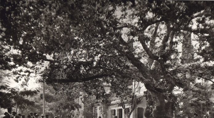 Η ΚΗΦΙΣΙΑ ΜΕΣΑ ΣΤΟ ΧΡΟΝΟ Η ΚΗΦΙΣΙΑ ΜΕΣΑ ΣΤΟ ΧΡΟΝΟ
