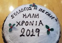 ΜΕ ΕΠΙΤΥΧΊΑ Η ΕΘΙΜΟΤΥΠΙΚΗ ΚΟΠΗ ΤΗΣ ΠΙΤΑΣ 2019