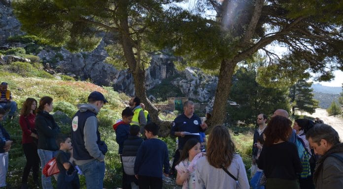 Πεζοπορία στο Πεντελικό στο Δρόμο του Μαρμάρου διοργάνωσε ο Σύλλογος Γονέων του Κρυσταλλείου Δημοτικού Σχολείου Πεντέλης σε συνεργασία με το Σ.Π.Α.Π.