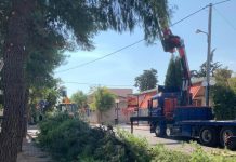 “Ξεκίνησε το κλάδεμα ψηλών δέντρων με τη χρήση ειδικού οχήματος”