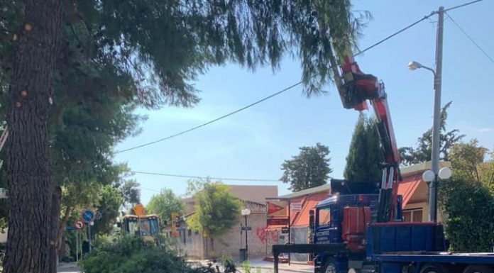 “Ξεκίνησε το κλάδεμα ψηλών δέντρων με τη χρήση ειδικού οχήματος”