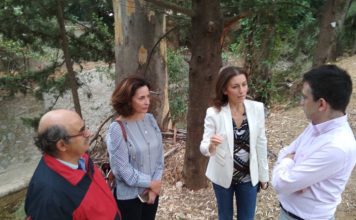 Αυτοψία της Αντιπεριφερειάρχη Βορείου Τομέα σε ρέματα της Βόρειας Αθήνας