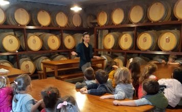 Σε βιωματική εκπαιδευτική δραστηριότητα, συμμετείχαν με επιτυχία τα προνήπια των Δημοτικών Παιδικών Σταθμών Δήμου Αμαρουσίου