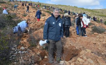 Με επιτυχία πραγματοποιήθηκε η 1η Εθελοντική Δράση Αναδάσωσης (Μαθητική) για το 2020 από τον Σ.Π.Α.Π. και το «Όλοι Μαζί Μπορούμε και στο Περιβάλλον» στη Νταού Πεντέλη.