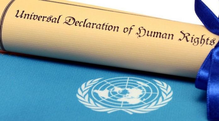 Πίσω στα βασικά, άρθρο του Σταύρου Μ. Θεοδωράκη