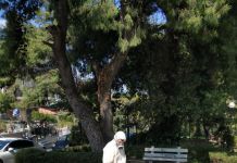 Απολύμανση σε παγκάκια και στάσεις λεωφορείων στον Δήμο Κηφισιάς