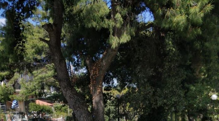 Απολύμανση σε παγκάκια και στάσεις λεωφορείων στον Δήμο Κηφισιάς