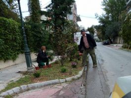 Φυτεύσεις εποχικών λουλουδιών σε κοινόχρηστους χώρους του Δήμου Λυκόβρυσης- Πεύκης