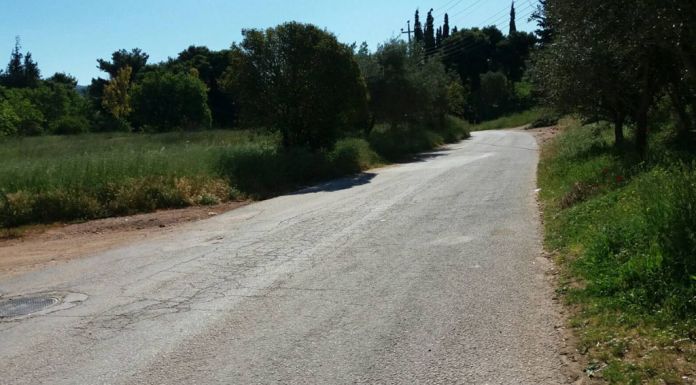 Προχωρούν άμεσα οι καθαρισμοί και τα αντιπυρικά έργα των δασών με χρηματοδότηση 50 εκ. ευρώ από το Ταμείο Ανάκαμψης