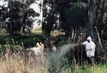 Σε πλήρη εξέλιξη το Πρόγραμμα Καταπολέμησης Κουνουπιών στο Δήμο Διονύσου