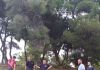 «ΥΙΟΘΕΤΗΘΗΚΑΝ» από τον ΣΕΠΠΒΑΤΥ τα δεντράκια του 7ου δημοτικού