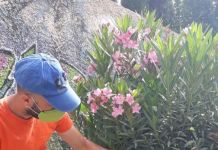 Η Υπηρεσία Πρασίνου καλλωπίζει τους ποδηλατόδρομους στη Κηφισιά