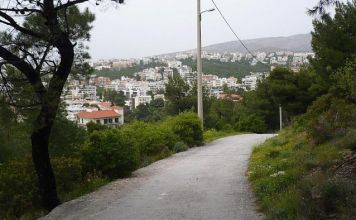 Πραγματοποιήθηκε η ετήσια συνάντηση εκπροσώπων για την πυροφύλαξη του Δάσους Θεόκλητου