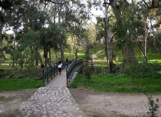Δήμος Χαλανδρίου:«Περπατάμε, Διασκεδάζουμε, Καθαρίζουμε τη Ρεματιά»