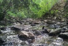 Υπεγράφη από τον Περιφερειάρχη Αττικής Γ. Πατούλη η συμπληρωματική σύμβαση έργου για την αντιπλημμυρική προστασία της Δημοτικής Κοινότητας Αγίου Στεφάνου Δήμου Διονύσου.