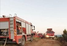 Γιάννης καλαφατέλης: «Οι πολίτες πρέπει να γνωρίζουν ότι ο Δήμος Διονύσου επαγρυπνεί καθημερινά και είναι σε διαρκή ετοιμότητα για τον κίνδυνο πυρκαγιάς»