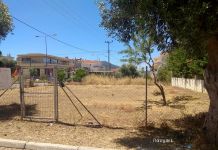 Ο Δήμος Χαλανδρίου συνεχίζει τον καθαρισμό οικοπέδων λόγω αντιπυρικής