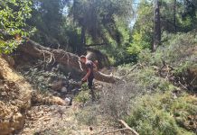 Αυτοψίες στα ρέματα σε όλη την Αττική για την αποφυγή πλημμυρών και τη διαπίστωση τυχόν προβλημάτων προχωρά η Περιφέρεια Αττικής