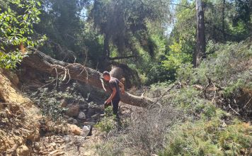 Αυτοψίες στα ρέματα σε όλη την Αττική για την αποφυγή πλημμυρών και τη διαπίστωση τυχόν προβλημάτων προχωρά η Περιφέρεια Αττικής