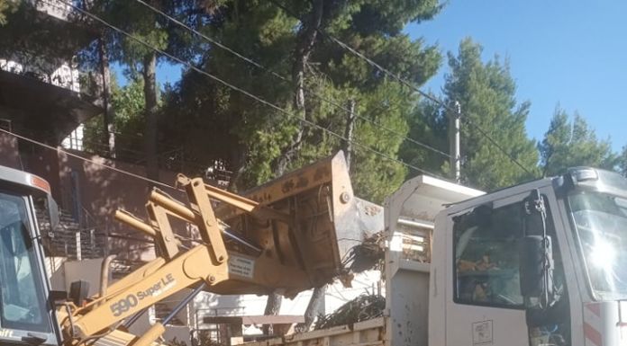 Μαζική αποκομιδή κηπαίων με αρπάγες, εκσκαφείς JCB και φορτηγά σε όλες τις Δημοτικές Κοινότητες του Δήμου Διονύσου Μαζική αποκομιδή κηπαίων με αρπάγες, εκσκαφείς JCB και φορτηγά σε όλες τις Δημοτικές Κοινότητες του Δήμου Διονύσου