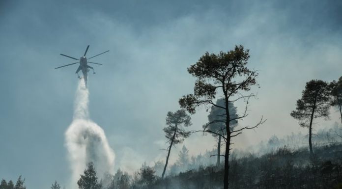 Φωτιά σε δασική έκταση πλησίον της Ι. Μονής Παντοκράτορα Νταού Πεντέλης Φωτιά σε δασική έκταση πλησίον της Ι. Μονής Παντοκράτορα Νταού Πεντέλης
