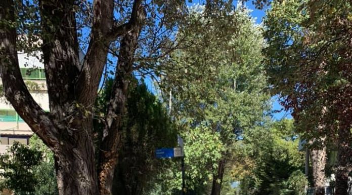 Συνεχίζονται τα έργα αναπλάσεων και ανακατασκευών στις δύο δημοτικές κοινότητες του Δήμου Λυκόβρυσης-Πεύκης