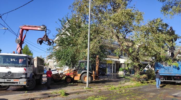 Σε κατάσταση έκτακτης ανάγκης ο Δήμος Ηρακλείου Αττικής: Μέτρα στήριξης των πολιτών που υπέστησαν ζημιές από τον ανεμοστρόβιλο ζητά η δημοτική αρχή