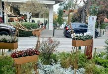 Εορταστική χριστουγεννιάτικη σύνθεση στο κέντρο της Κηφισιάς από την Ανθοκομική Έκθεση του Δήμου