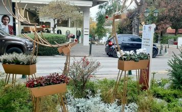 Εορταστική χριστουγεννιάτικη σύνθεση στο κέντρο της Κηφισιάς από την Ανθοκομική Έκθεση του Δήμου