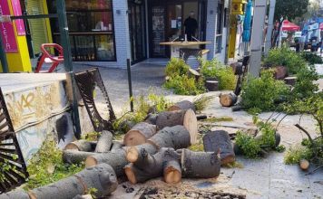 Γ. Καραμέρος ζητά την παραίτηση του Αντιδημάρχου Σ. Τσιπουράκη για τα κομμένα δέντρα