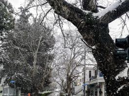 Eπι ποδός η Πολιτική Προστασία του Δήμου Κηφισιάς Eπι ποδός η Πολιτική Προστασία του Δήμου Κηφισιάς