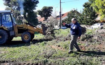 Ο ΣΠΑΠ συνδράμει καταλυτικάστο μάζεμα των κλαριών από πεσμένα δέντρα και στο κλάδεμα επικίνδυνων κλαδιών και δέντρων στον δήμο Πεντέλης .