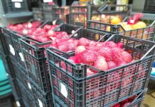 Διανομή τροφίμων με χρηματοδότηση από το Ταμείο Ευρωπαϊκής Βοήθειας για τους Απόρους