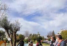 Συνεχίζεται η μεταφύτευση ελαιοδέντρων σε επιλεγμένα σημεία της Λυκόβρυσης και της Πεύκης