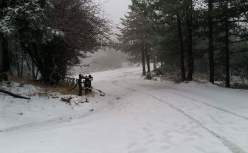 Προτεραιότητα του Δήμου να διατηρούνται ανοιχτές οι βασικές λειτουργίες της πόλης.