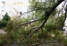 Δ. Παπαστεργίου Πρόεδρος Κ.Ε.Δ.Ε. : Η χώρα χρειάζεται ένα αποτελεσματικό μηχανισμό πολιτικής προστασίας.