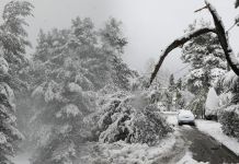 Διαμαρτυρία- καταγγελία του Σωματείου Εργαζομένων Δήμου Λυκόβρυσης- Πεύκης