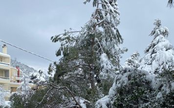 Απολογισμός «Μήδειας»: Τιτάνιος αγώνας του Δήμου Διονύσου για επιστροφή στην κανονικότητα, με δέσμη σημαντικών παρεμβάσεων και μέτρων