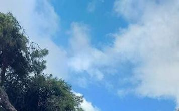 100 φορτηγά κορμών και κλαδιών τη μέρα περισυλλέγει ο Δήμος Κηφισιάς