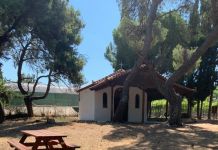 Άμεση λήψη μέτρων για την προστασία της παραρεμάτιας περιοχής της Πύρνας ζητά η Παράταξη «Δἠμος Μπροστά+»