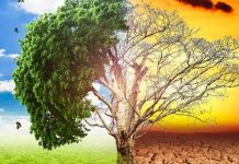 ∆ιαδικτυακό Συνέδριο με τη συνδιοργάνωση της ΚΕΔΕ και της Ελληνογερμανικής Συνέλευσης με θέμα : Κλιματική αλλαγή & Πολιτική Προστασία