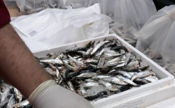 Φρέσκα ψάρια διανεμήθηκαν στους δικαιούχους του Κοινωνικού Παντοπωλείου