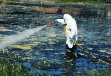 Σε εξέλιξη το Πρόγραμμα Καταπολέμησης Κουνουπιών στο Δήμο Διονύσου