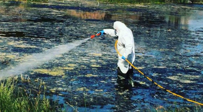 Σε εξέλιξη το Πρόγραμμα Καταπολέμησης Κουνουπιών στο Δήμο Διονύσου