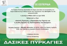 Διαδικτυακή Εσπερίδα για τις Δασικές Πυρκαγιές, τη Δευτέρα 24/5 από το Κανάλι του Δήμου Διονύσου