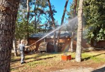 Πρόγραμμα καταπολέμησης των κουνουπιών υλοποιεί ήδη ο Δήμος Παπάγου-Χολαργού